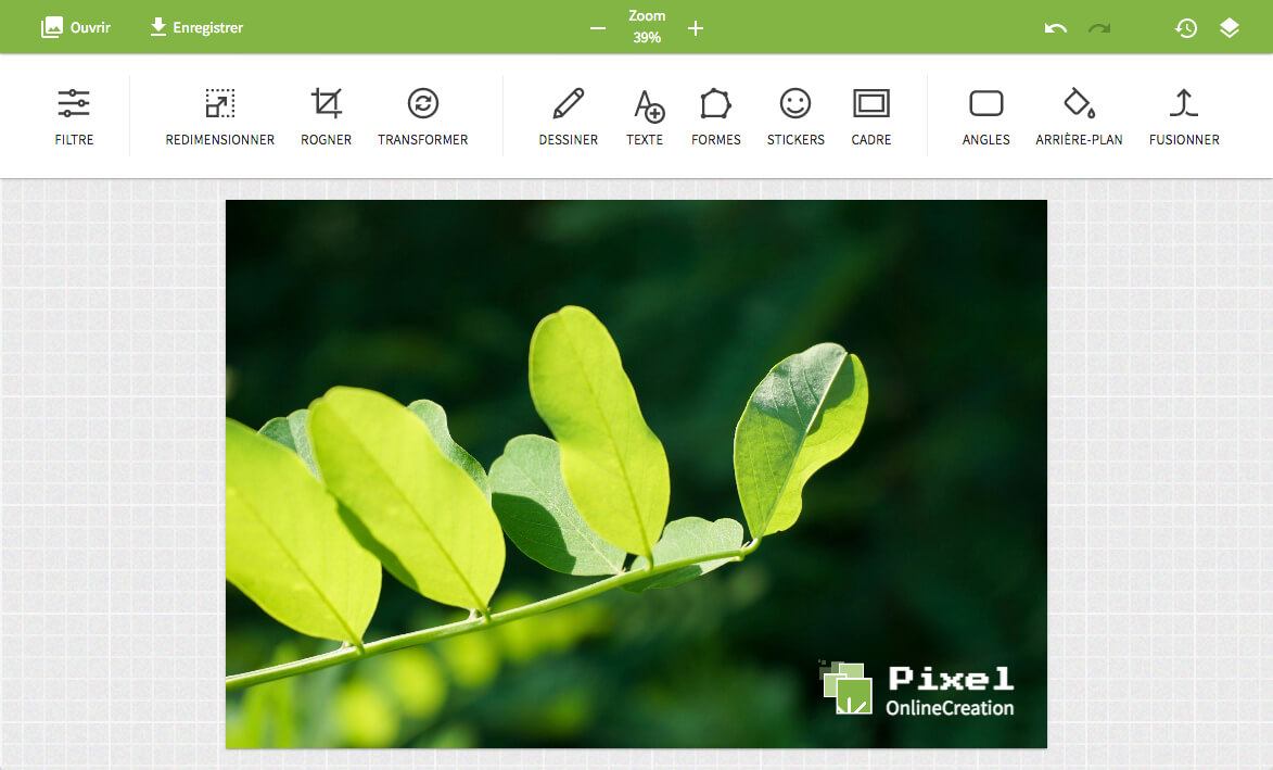 Pixel•OnlineCreation image editor